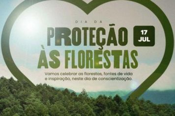 Dia da Proteção às Florestas!