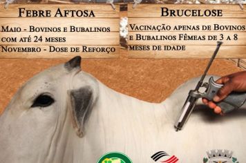 Campanha de Vacinação de Febre Aftosa e Brucelose