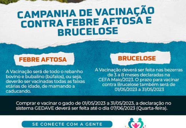 Campanha de vacinação contra Febre Aftosa e Brucelose