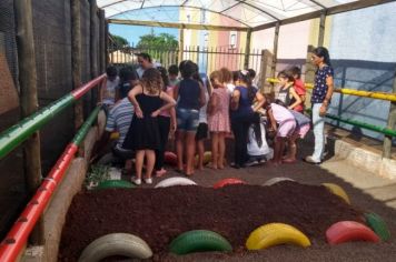 Horta Orgânica do município retoma suas atividades